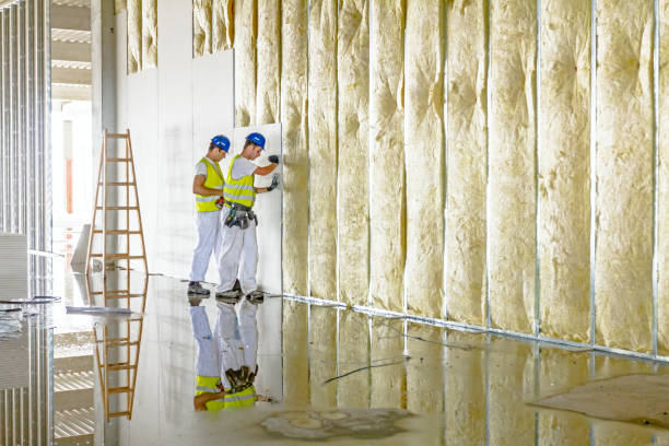 Best Types of Insulation in Bristol, FL